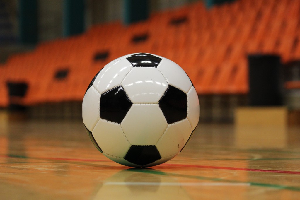 hall-training-soccer-football-goal-sports-equipment-sports-ball-halgulv-1206029