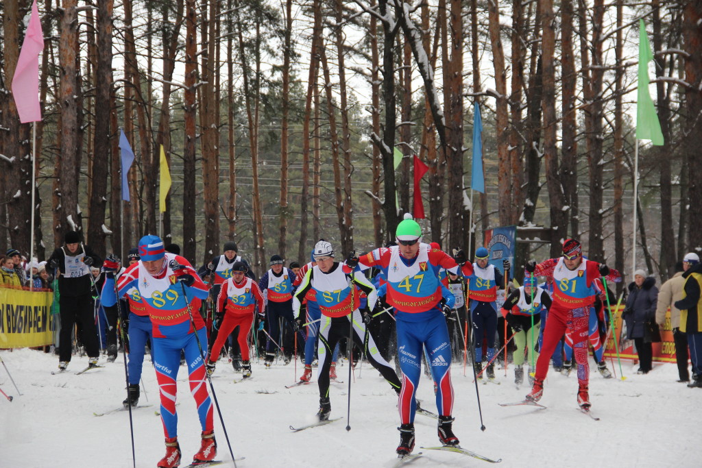 Лыжные гонки на кубок главы админ БГО ВО 066